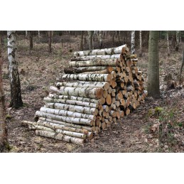 1 stère de bois ( bouleau )...